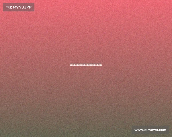 维萨预计将于周二回归布伦特福德训练并恢复备战